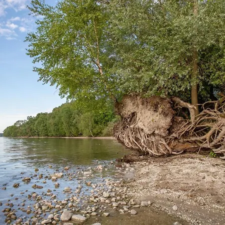 Fischerhaus In Der Altstadt Von * Waren (Mueritz)